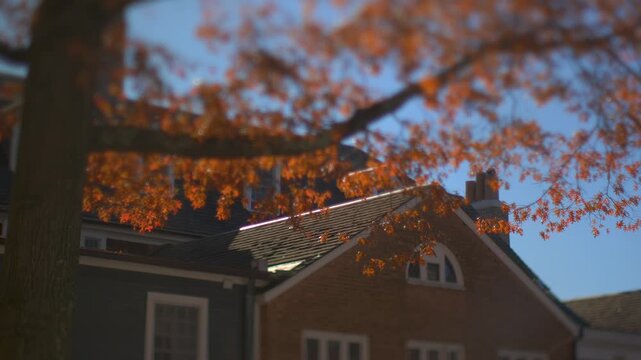 Autumn leaves frame suburban homes under a clear blue sky