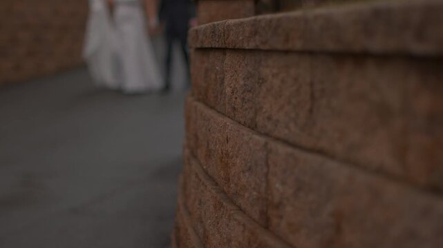 Newlyweds walking away from camera on a stone path during a wedding