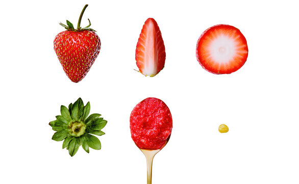 Fresh strawberries displayed in educational flat lay arrangement with seed, slice, and whole fruit