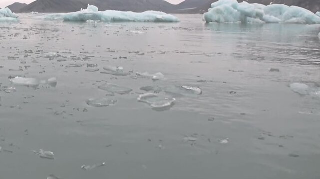 Dense broken ice covers the surface of cold water in a close view. Secondary visible features include natural light and surface texture, with natural contrast and texture defining the frame.