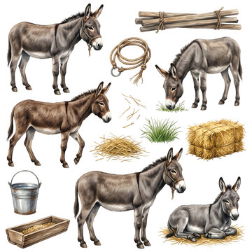 Farm Donkeys and Burros Watercolor Clip Art Set with Hay Bale Wooden Trough and Rope