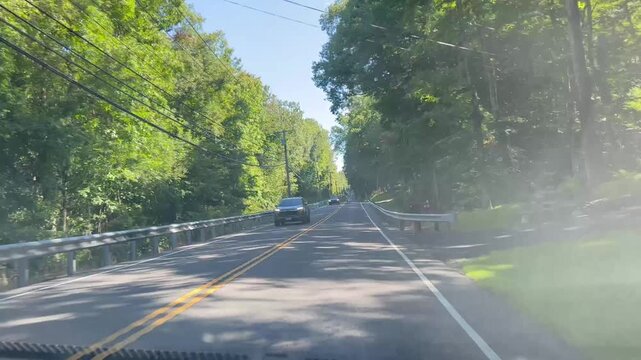 Dash cam view of driving along a road through lush green forest