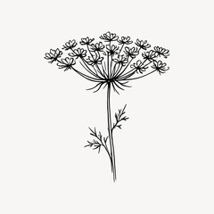 Obraz premium Elegant botanical ink illustration