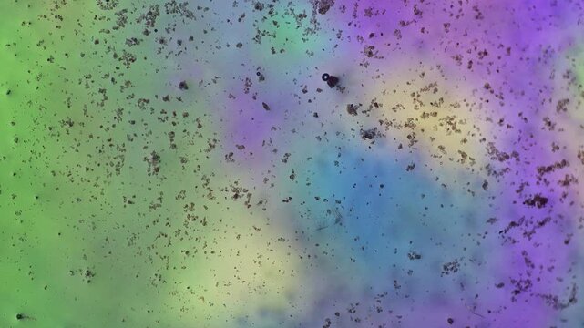 Polarized light microscopy of dense needle-like crystal aggregation triggered by thermal airflow with formation of fan-shaped mineral structures under 5x microscope magnification