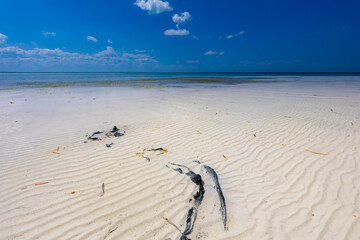 Tropical sandy beach and an exotic view of the Atlantic Ocean against a blue sky with clouds in Cuba, Caribbean – background for projects, wallpaper © anettastar
