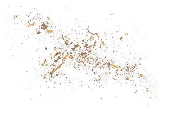 Explosion of dry tree bark pieces isolated on white background, flying wood chips
