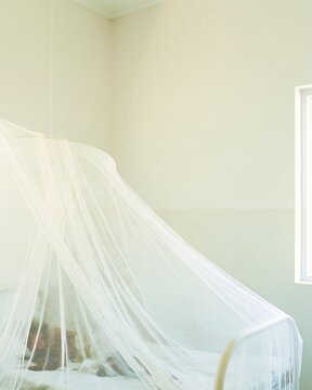 Mosquito net covering a hospital bed in a simple clinical room, illustrating dengue prevention, mosquito protection and vector control with large copy space
