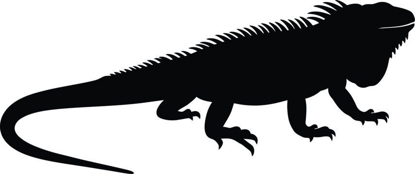Iguana silhouette vector. Lizard vector icon