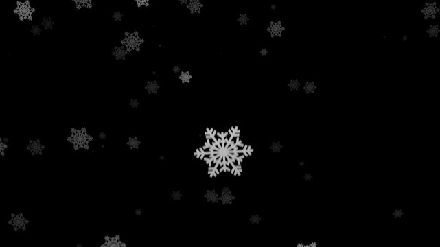 White snowflakes slowly falling down against a dark black background snowflake winter snow weather cold