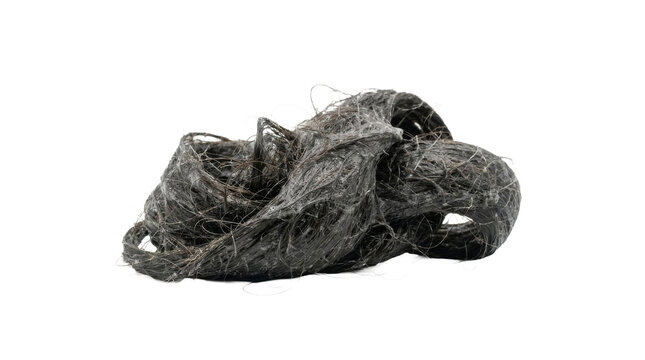 Close-up macro shot of a tangled clump of dark hair and fibers