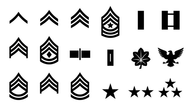 Military insignia silhouettes on a white background depict rank and service