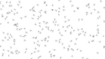 Obraz premium Abstract pattern of black radial fiber clusters on white background