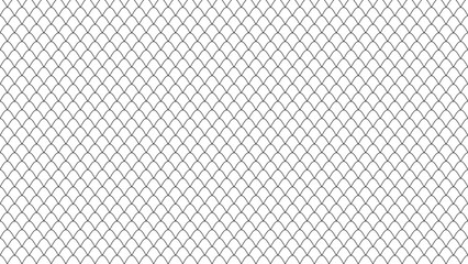 Seamless fish scale pattern with black lines on white background © Muhammad