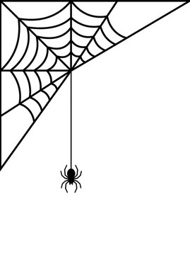 Black spider hanging from a corner spider web isolated on a transparent background