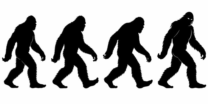 Bigfoot silhouette, mythical creature silhouette sequence. Ideal bigfoot for cryptozoology, folklore enthusiasts. Mysterious walking beast, legend, Sasqua