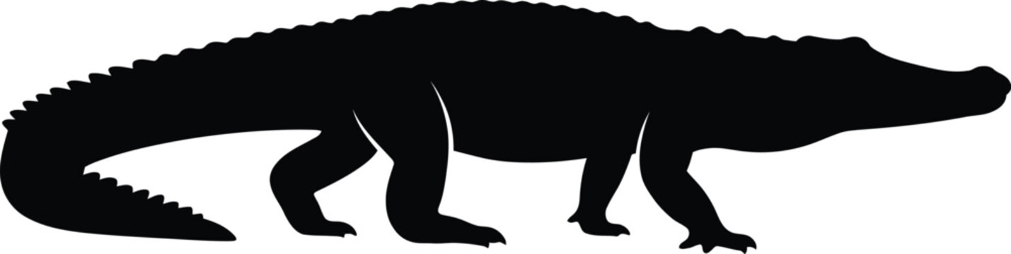 Alligator silhouette vector. Crocodile vector icon