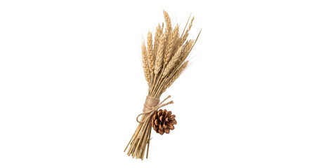 Obraz premium Golden wheat stalks tied with twine and a pine cone, symbolizing harvest and autumn