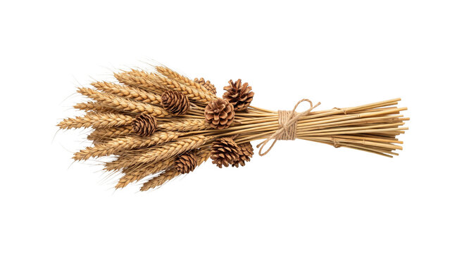 Harvest bouquet of wheat stalks and pine cones tied with twine