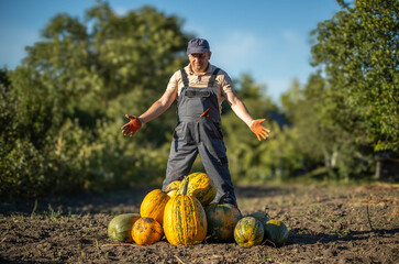 A joyful farmer stands proudly in a sunlit field surrounded by vibrant pumpkins. He raises his arms, celebrating the bountiful harvest on a clear day, showcasing nature's riches © Віталій Б.