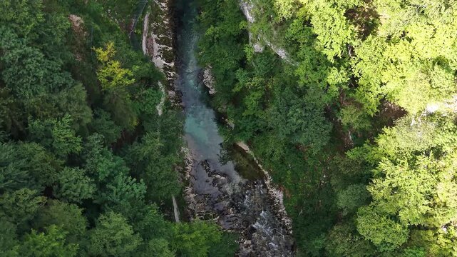 Aerial view of Radovna river in Vintgar Gorge (Soteska Vintgar), Slovenia