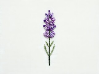 Fototapeta premium Purple lavender flower with green stem on white background