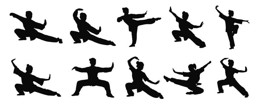 Martial arts kung fu wushu pose silhouettes set vector illustration