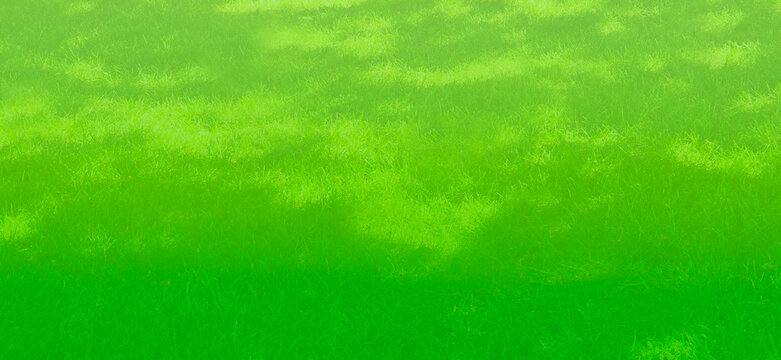 Shadows & Sunlight On Grass w/Green gradient Overlay For Backdrop, Background, Border, Wallpaper, Frame for Landscaping Lawn Care Business Advertisement or Social Media Post