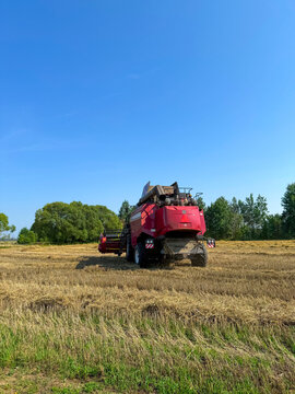 Harvesting wheat with a combine harvester in a field on a clear day. Agriculture concept.