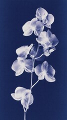 Obraz premium Elegant blue-toned orchid illustration, perfect for mobile wallpaper.