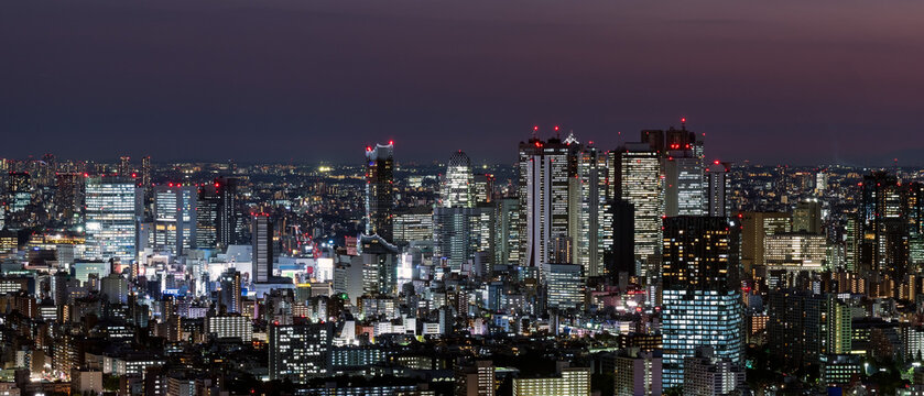 Illuminated Shinjuku skyscraper skyline featuring Tokyo Metropolitan Government Building and Cocoon Tower at night