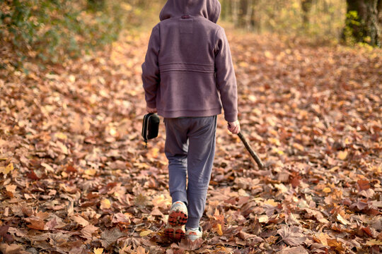 Enfant marchant dans une for&ecirc;t avec un b&acirc;ton