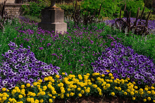 Beautiful formal garden flower beds with purple and yellow flowers