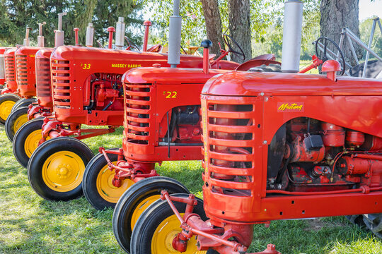 A line of restored Massey-Harris vintage tractors. 