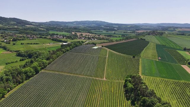 High-angle panorama shows neat vineyard rows woven into patchwork farmland across rolling countryside, highlighting fertile green vegetation, earth textures, and distant horizon under bright daylight