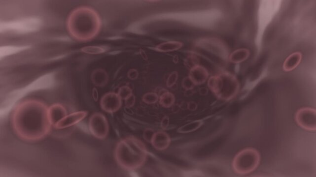 Forward Zoom In Flythrough Inside an Artery, Red Blood Cells Drifting Past the Glossy Vessel Wall, Seamless Loop in deep capillary tones