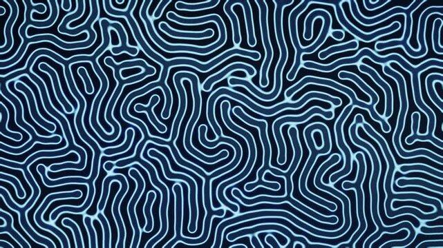 Gray-Scott reaction diffusion Turing pattern growing and pulsing organic maze abstract background seamless loop in soft cobalt tones