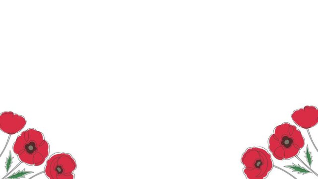 Remembrance day greeting animation, Remembrance day greeting card text animation with copy space, with poppy flower decoration whit white background