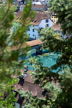 Lucerne old town rooftops and river seen through fir branches