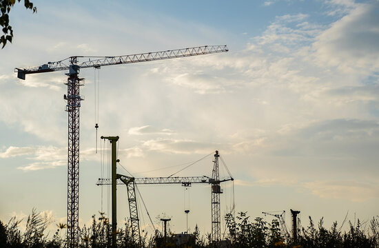 Construction cranes silhouetted against cloudy sky during sunset, surrounded by trees and vegetation in an urban development area
