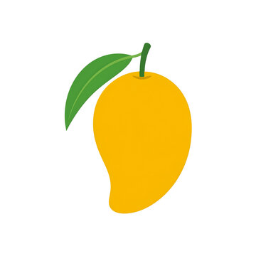 Yellow mango fruit illustration, ripe tropical mango with green leaf, flat vector food icon on white background