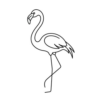 Flamingo outline