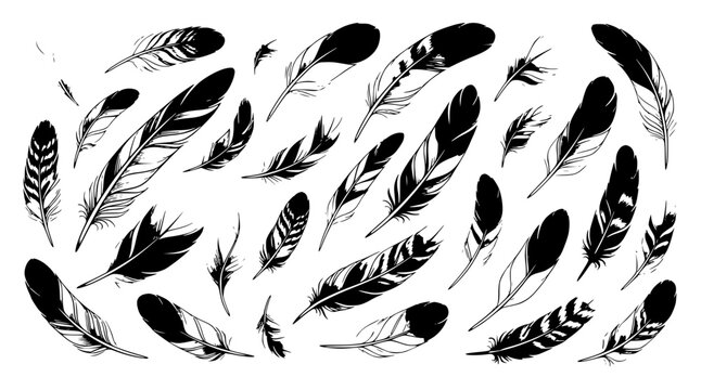 Minimalist vector illustration of various types of feather set with simple line art design featuring sketches, drawings, vector graphics with minimalist and simple illustrations