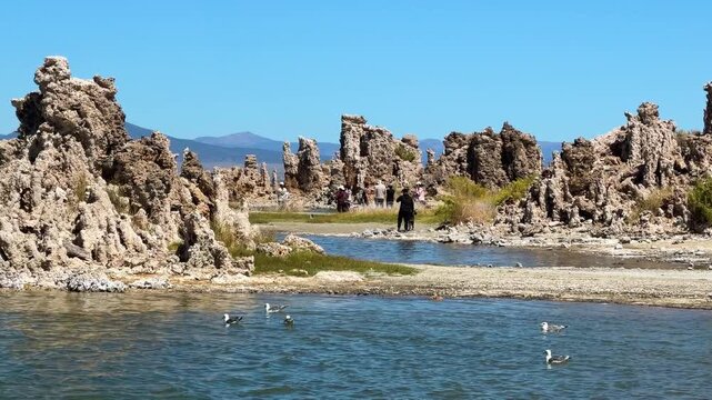 RTL pan of the strange and otherwordly tufa formations at Mono Lake, California on a bright summer day.  Many tourists move along the shore and seagulls float in the water.