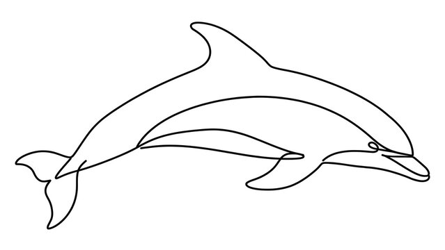 Dolphin swimming white background.