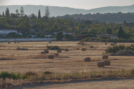 Golden fields of Varzea de Pera at dusk