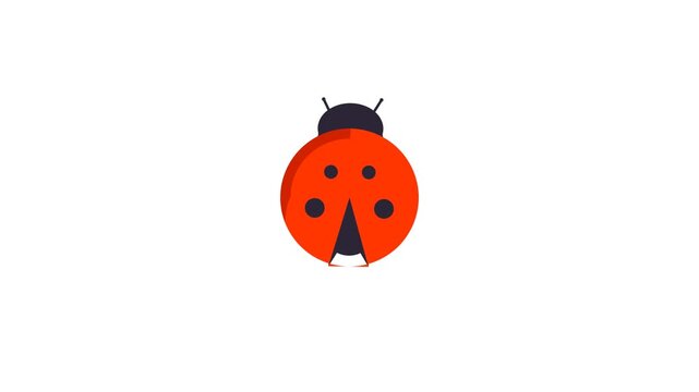 Bug Icon Animation, seamless, loop
