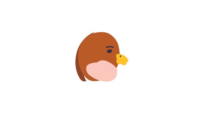 Falcon Icon, seamless, loop