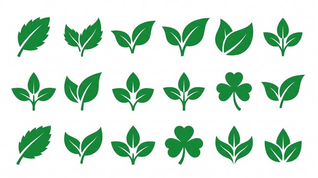 Collection of green leaf vector icons flat organic foliage symbols for eco branding isolated on white background