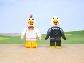 Fototapeta premium Indonesia - June 10, 2025 : Mini toy of action figure at table with blurred background. Miniature diorama photography concept design. Minifigure of white chicken and wild black bird character.