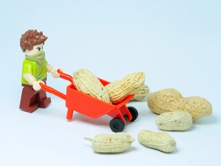 Fototapeta premium Indonesia - October 3, 2023 : Mini toy at table with blurred background. Peanuts farmer concept design.